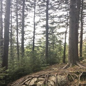 Meet your Posher, Celina